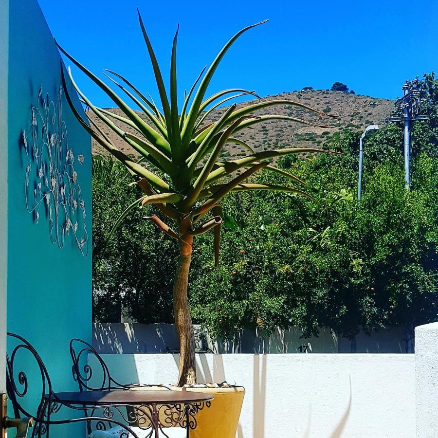 Avatara Bed & Breakfast Cape Town Eksteriør bilde